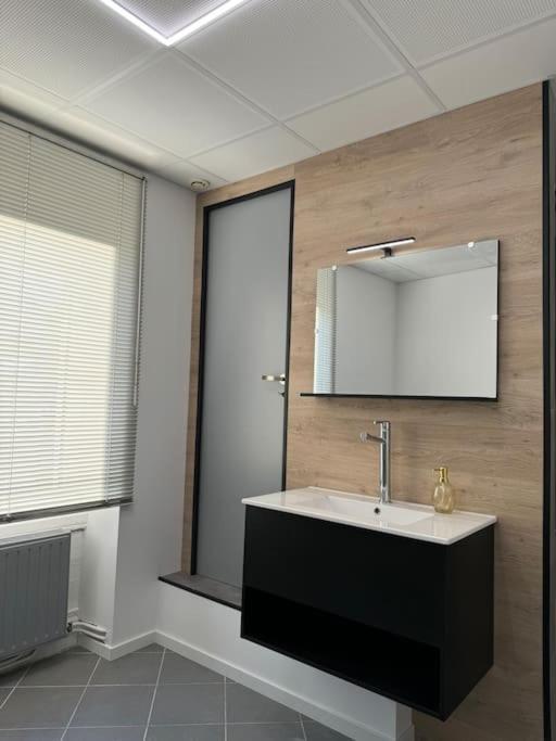 Appartement La Citadelle Belfort Kültér fotó