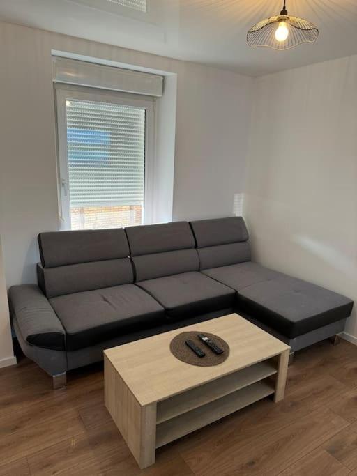 Appartement La Citadelle Belfort Kültér fotó